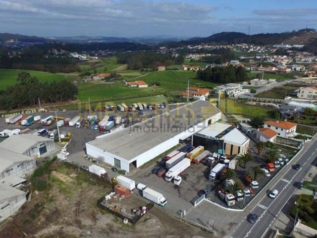 Loja, Muro