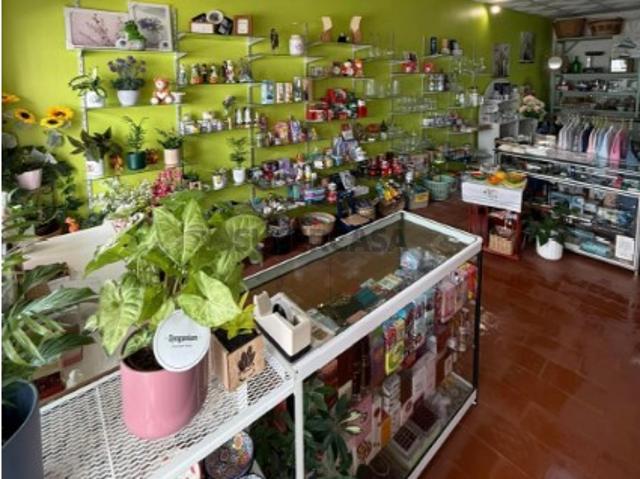 LOJA Monchique
