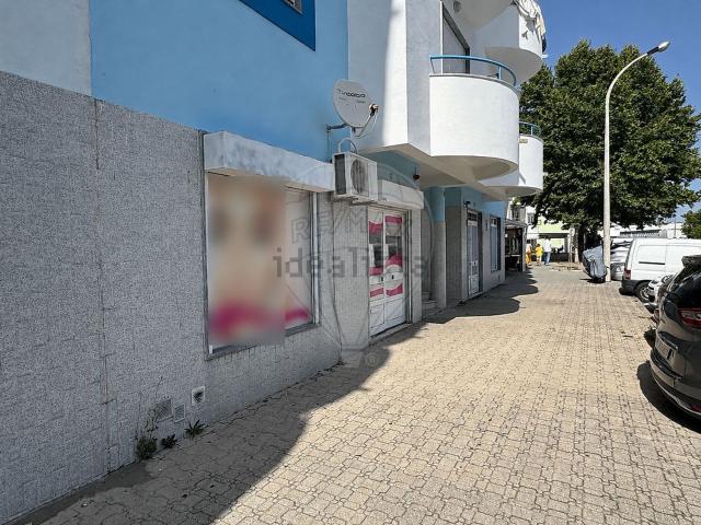 Loja, Montijo e Afonsoeiro
