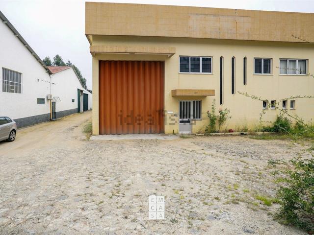 Loja, Nogueira do Cravo