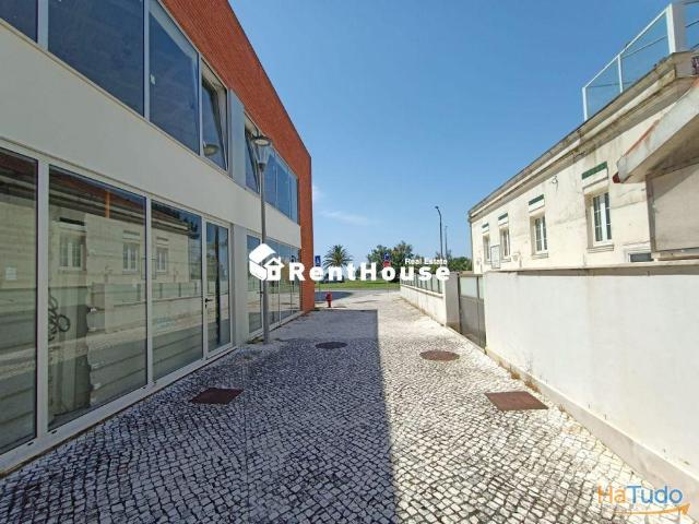 Loja Nova | 26084063883
