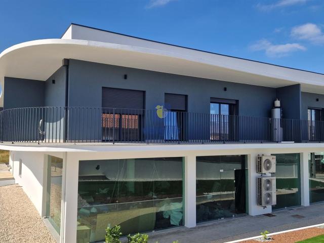 Loja nova com 118 m², com terreno adjacente de 2.060m2, junt. 129m² Pelariga