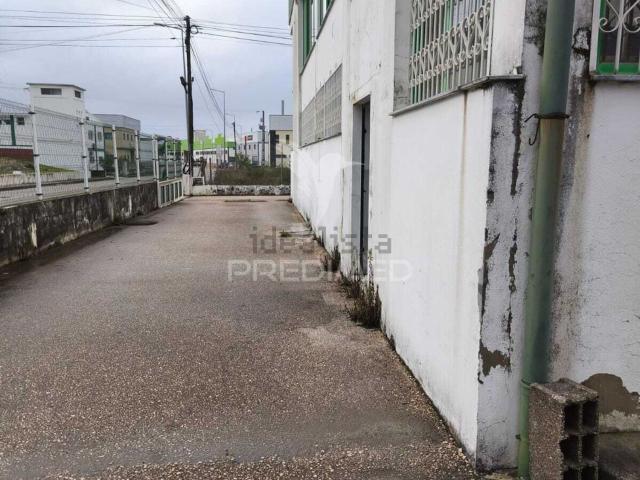 Loja, Oiã
