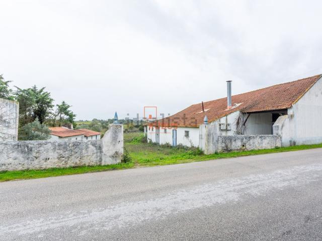 Loja, Olaia e Paço