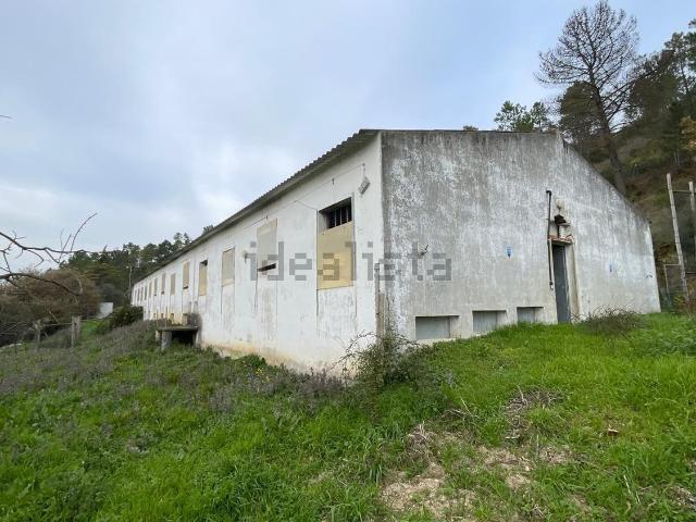 Loja, Azoia de Cima e Tremês