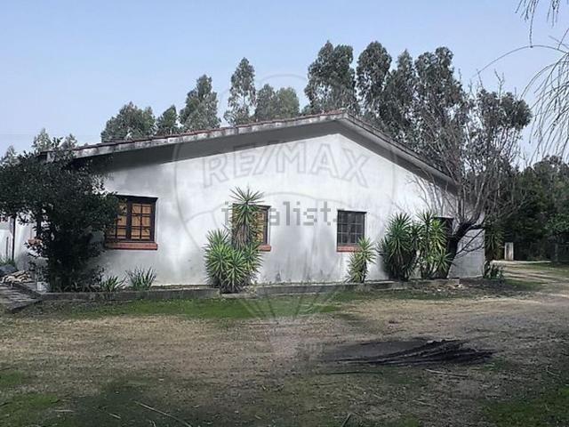 Loja, Borralha