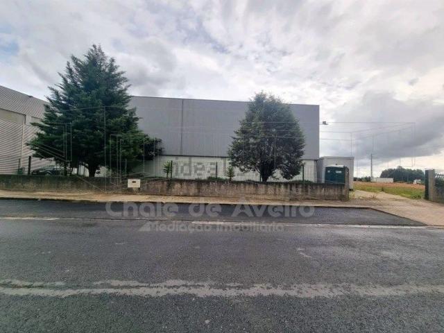 Loja, Albergaria a Velha e Valmaior