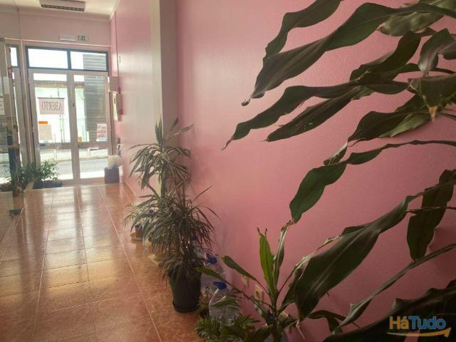 Loja arrendamento | 26063825017