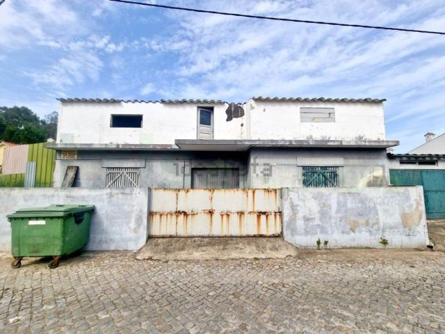 Loja, Árvore