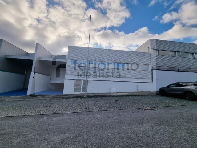 Loja, Brito