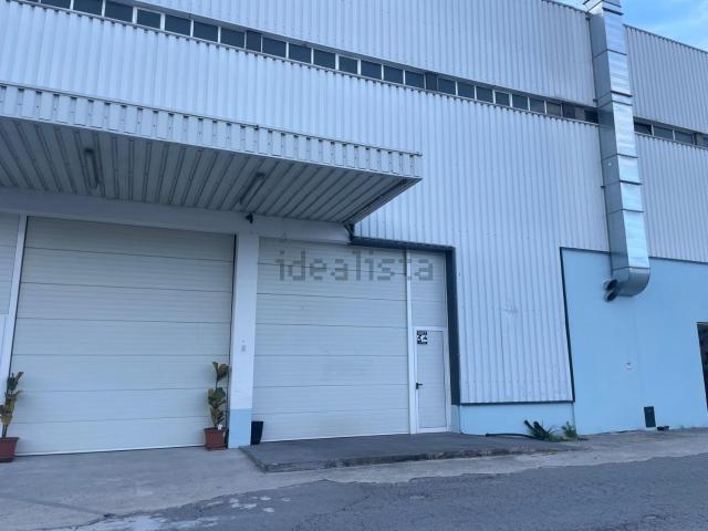 Loja, Caldas de Vizela