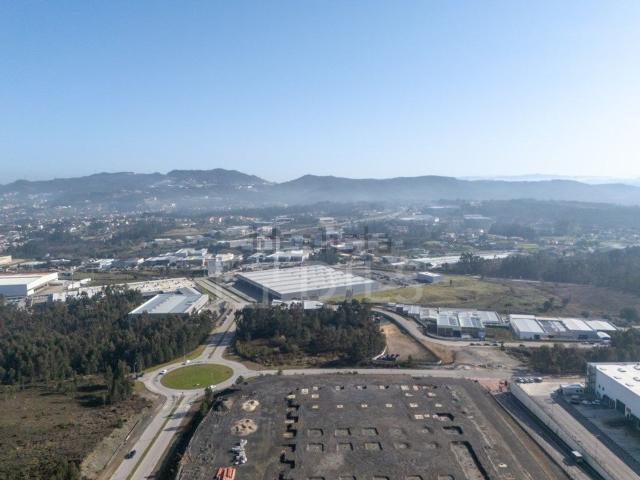 Loja, Campo