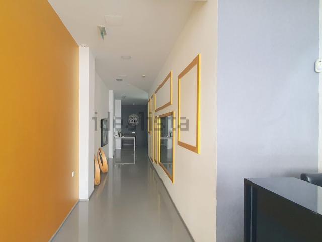 Loja, Casa da Música, Cedofeita Santo Ildefonso Sé Miragaia São Nicolau Vitória