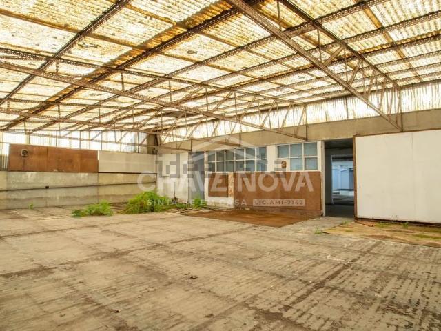 Loja, Casa da Música, Cedofeita Santo Ildefonso Sé Miragaia São Nicolau Vitória