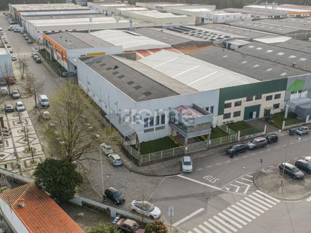 Loja, Castêlo da Maia
