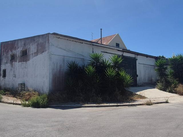 Loja, Caparica e Trafaria