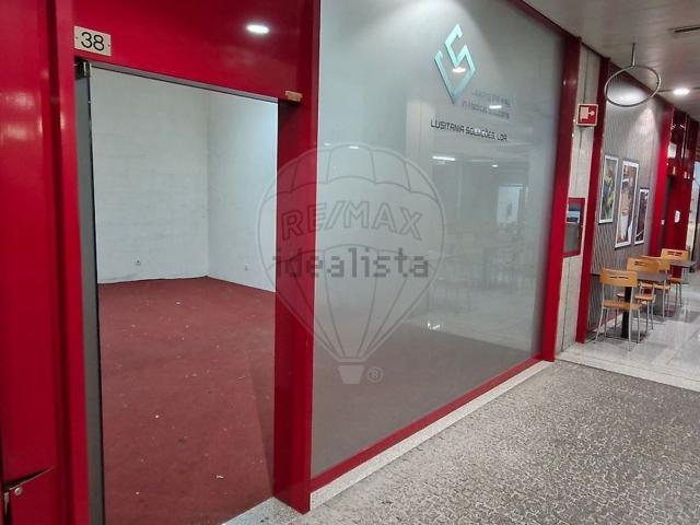 Loja, Cedofeita, Cedofeita Santo Ildefonso Sé Miragaia São Nicolau Vitória