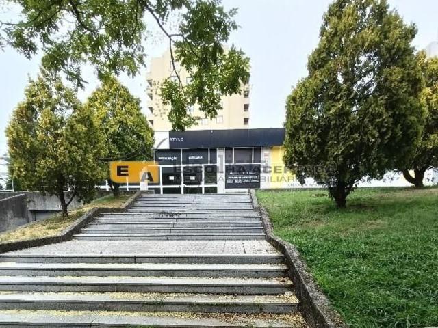 Loja, Cedofeita Santo Ildefonso Sé Miragaia São Nicolau Vitória