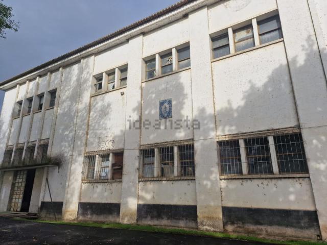 Loja, Coruche