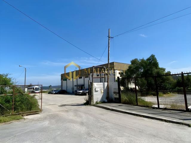 Loja, Ermesinde