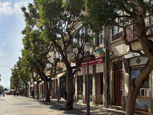 Loja, Espinho