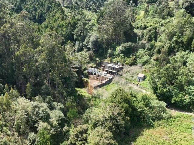 Loja / Estabelecimento Comercial T5 em Santo António da Serra de 1370,00 m²