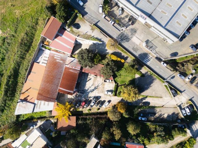 Loja, Fânzeres e São Pedro da Cova