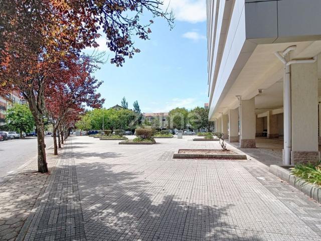 Loja, Glória e Vera Cruz