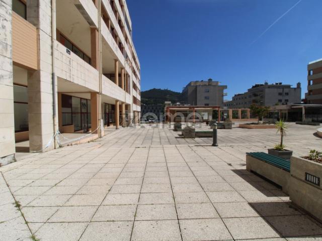 Loja, Gonça