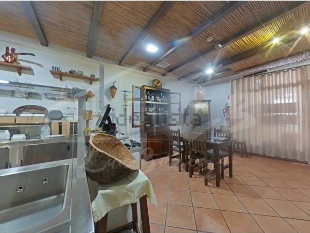Loja, Grândola e Santa Margarida da Serra