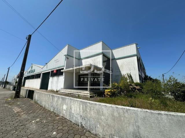 Loja, Grijó