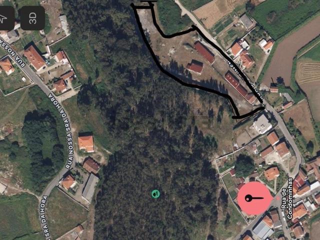 Loja, Lamoso