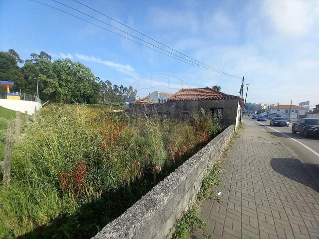 Loja, Lourosa