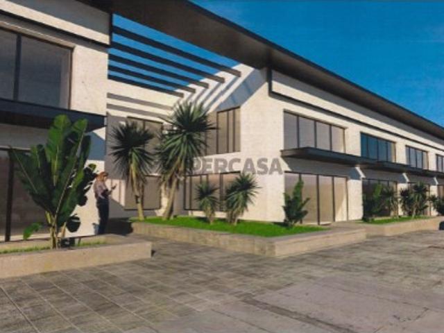 Loja para Venda em Almancil