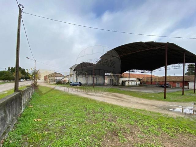 Loja, Pegões