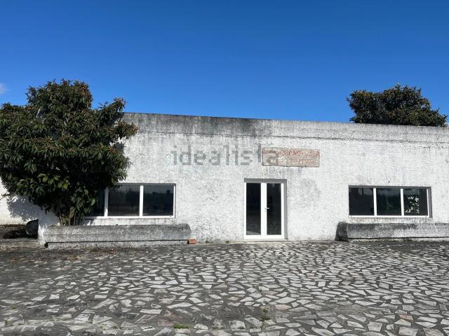 Loja, Pegões