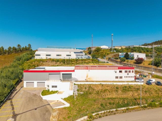 Loja, Raiva
