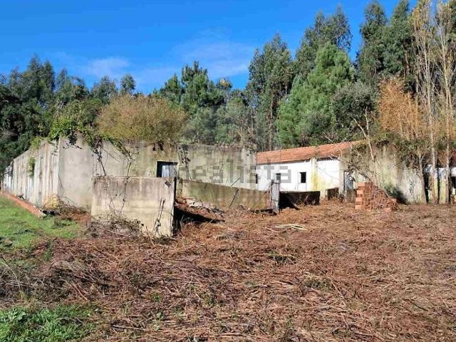 Loja, Rio Maior
