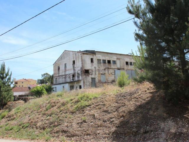 Loja, Rio Maior