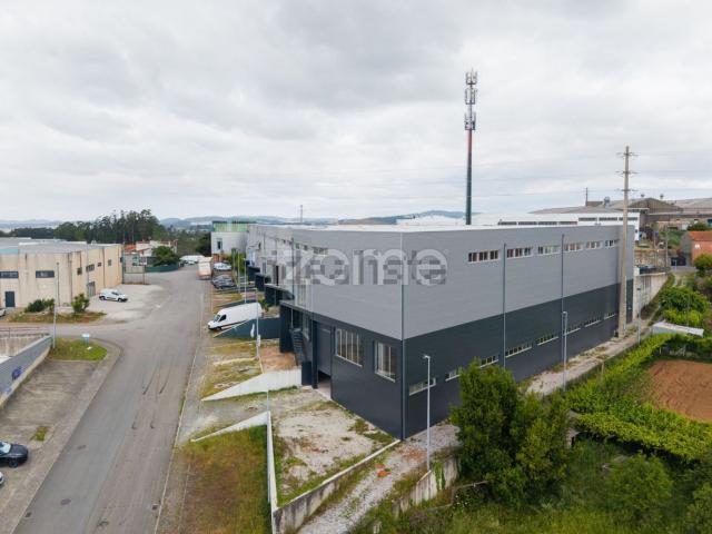 Loja, Santo Tirso Couto Burgães