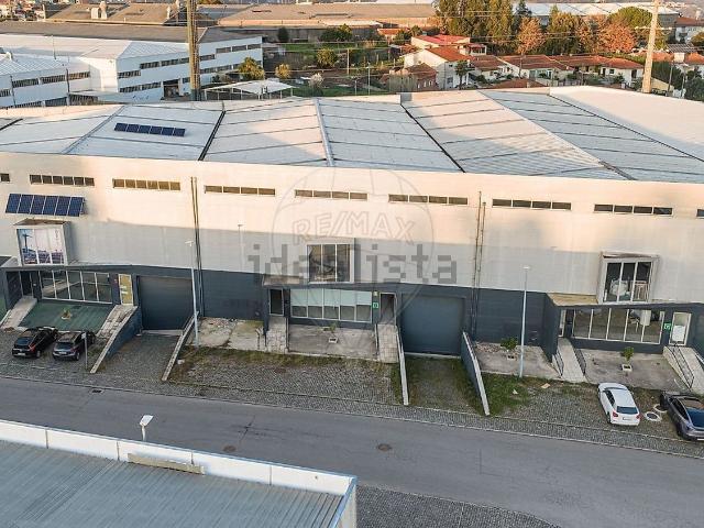 Loja, Santo Tirso Couto Burgães