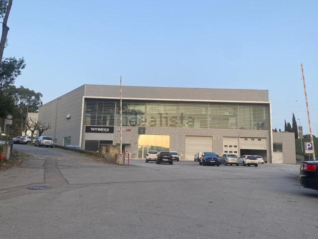 Loja, Santo Tirso Couto Burgães