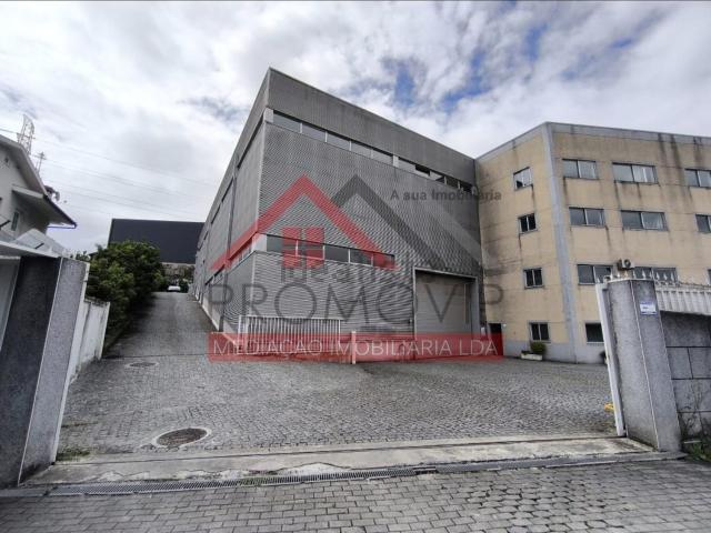 Loja, Serzedelo