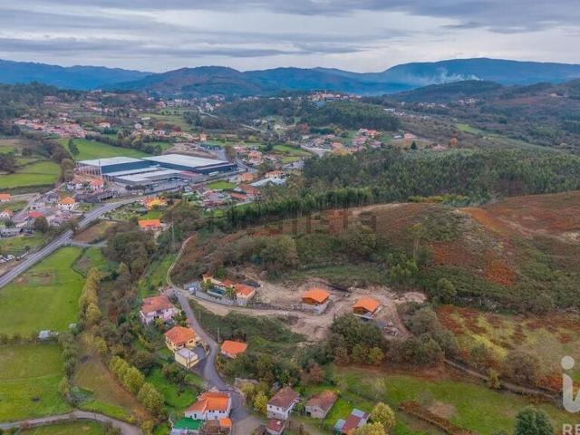 Loja, Serzedelo