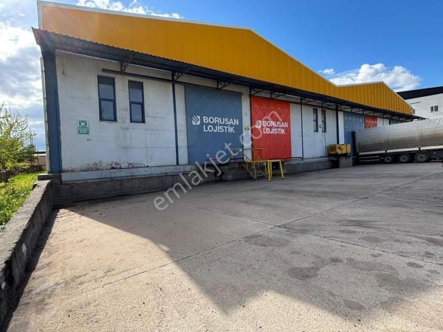 Lojistik Ve Dağıtım İçin Hazır Kiralık Depo!