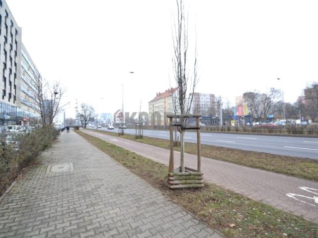 Lokal180 m2 Legnicka 180 m², Wrocław