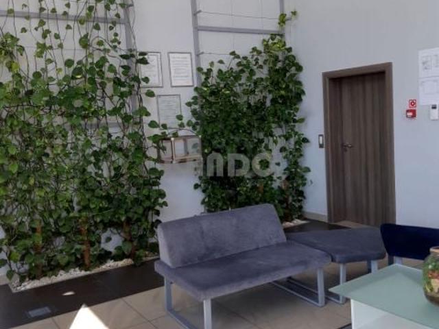Lokal 80 m2 Oporów 80 m², Wrocław