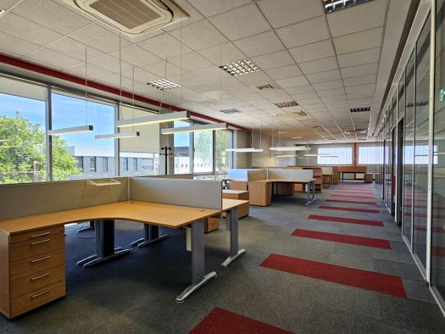 Lokal użytkowy 430 m², Poznań