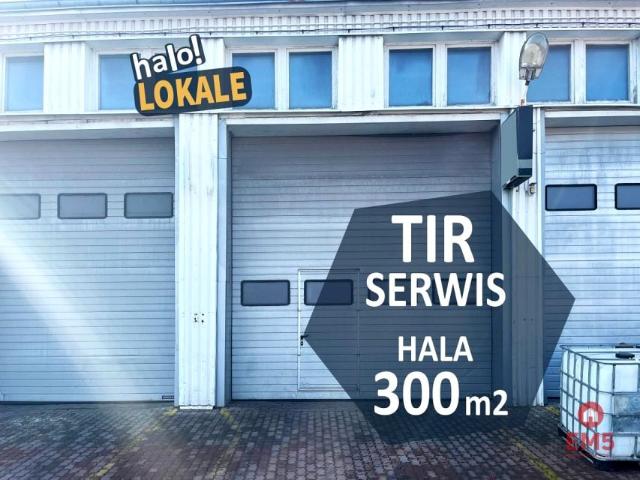 Lokal użytkowy 450 m², Białystok
