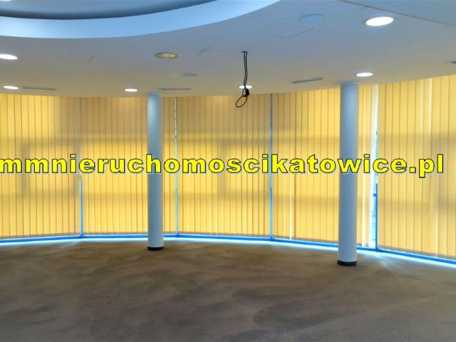 Lokal użytkowy 475 m², Katowice